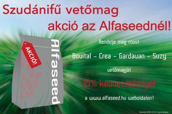 alfaseed2